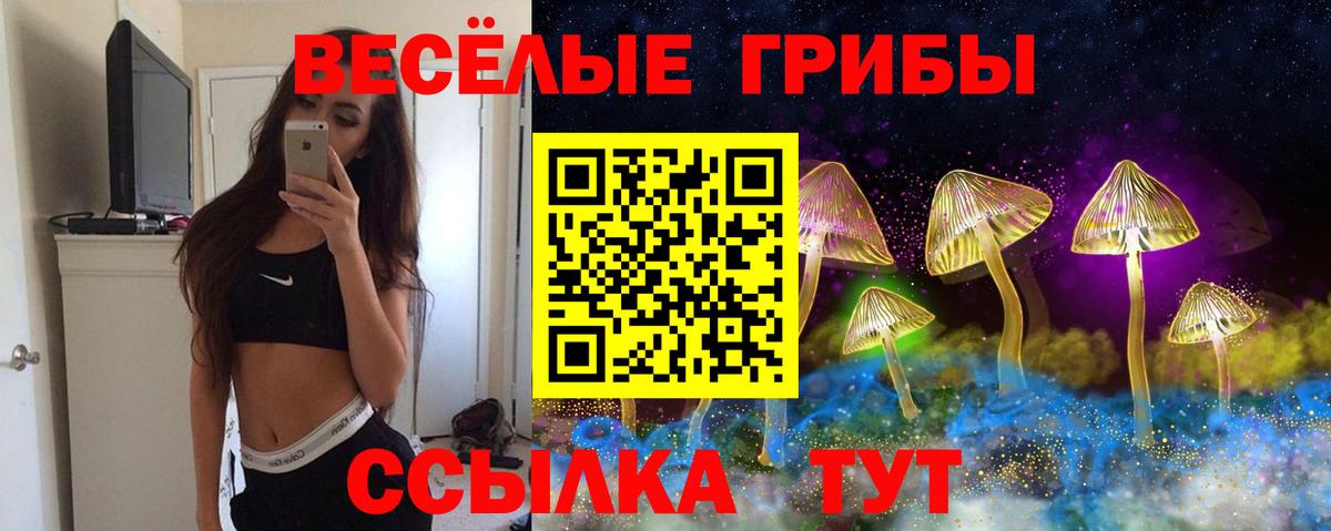 Псилоцибиновые грибы мицелий  Вход с VPN  Псилоцибиновые грибы прущие грибы  Батайск 